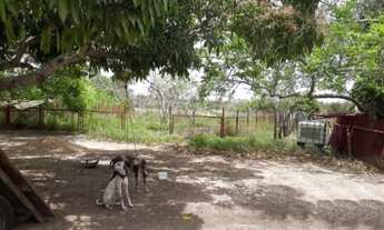 Imagem 3: V) Vende-se Fazenda de gado próximo a Buerarema