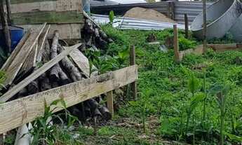 Imagem: Casa de condomínio para venda tem 500 metros