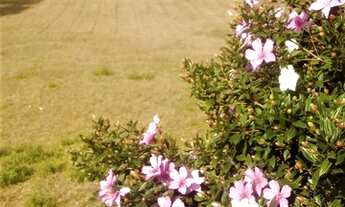 Imagem 5: CHÁCARA PASSOS DE TORRES COM DUAS CASAS