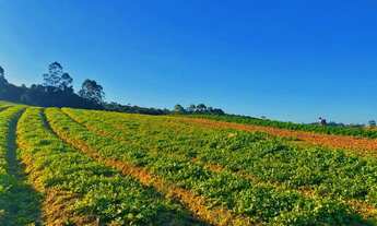 Imagem 6: Super Oferta! Invista com lotes imperdíveis em Ibiúna SP HP