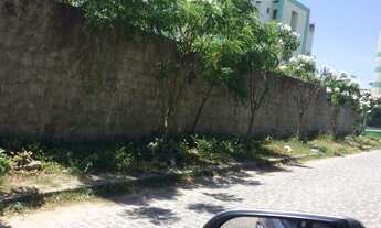 Imagem 3: Terreno no Janga