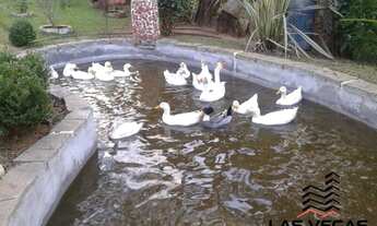 Imagem 5: Chácara na Região de Extrema - MG com 3 quartos á venda, 4.800 m²