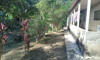 Imagem: Sítio em miracatu