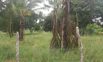 Imagem 5: Sitio a venda no Povoado Saco da Raiz em Estância