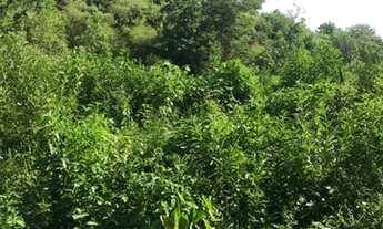 Imagem 2: Vendo/Alugo Terreno na Cidade de Magé - Rio de Janeiro