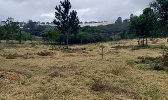 Imagem 7: Uma ótima oportunidade para adquirir o seu terreno PM