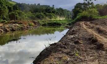 Imagem 4: Vendo oito Chácaras em Paraty