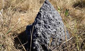 Imagem: Fazenda na região de Marianópolis/Divinópolis/Caseara/Abreulândia