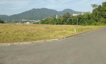 Imagem 2: Lote com excelente localização no bairro Chico de Paula