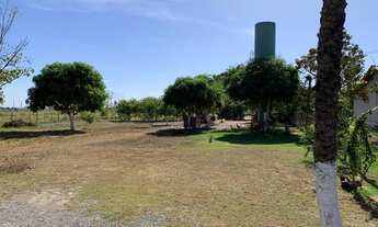 Imagem 6: SÍTIO ESTRADA DA GUIA