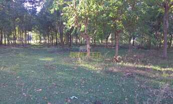 Imagem 2: Terreno à venda, ZONA RURAL, Rifaina, SP