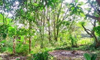 Imagem 6: VENDA DE TERRENO no Rio Tavares - Florianópolis - SC