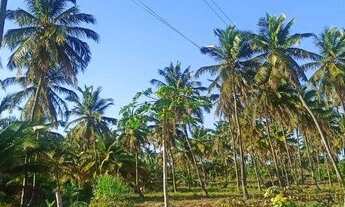 Imagem 4: Terreno à venda, 950 m² por R$ 120.000,00 - Moitas - Amontada/CE