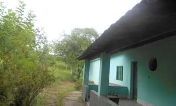 Imagem 3: V) Vende-se Excelente Sítio no Lomanto Júnior