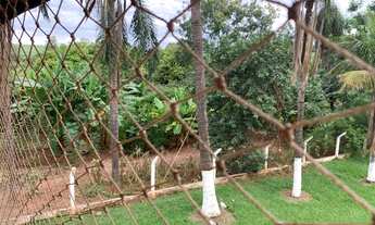 Imagem 5: Lindo Haras Região de Bauru sp