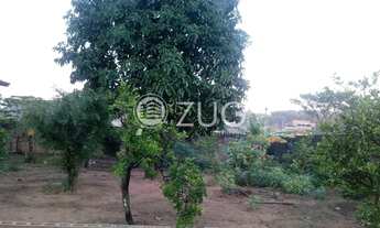 Imagem: Chácara - Chácaras Meu Cantinho - Monte