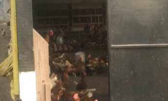 Imagem 6: Sitio com Granja