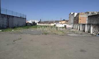 Imagem 5: área - Bosque - Campinas