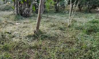 Imagem 3: Chácara a venda