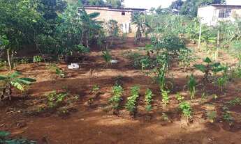 Imagem 11: Cháchara Jardim são José