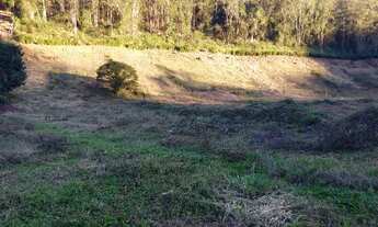 Imagem 5: Vende-se sítio Chácara com venda por R$1.100.000