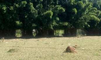 Imagem 6: Terreno com melhor investimento