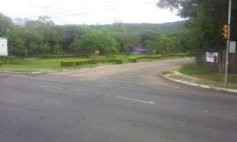 Imagem 5: Porto Alegre - Terreno Padrão - Agronomia