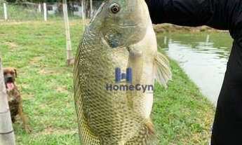 Imagem 5: Chácara nova com aproximadamente 30.000 m²