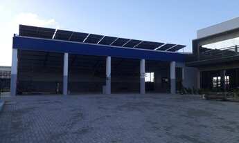 Imagem 4: Galpão, Vila Nova - Limeira