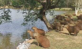 Imagem 5: Linda Casa para venda ou locação em Condomínio