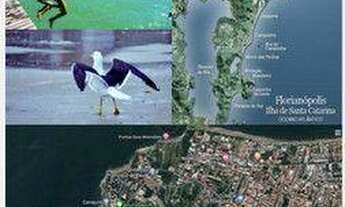 Imagem 3: Terreno à venda, 1069 m² por R$ 2.255.000,00 - Canasvieiras - Florianópolis/SC