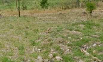 Imagem 4: Jacareí - Terreno Padrao - Veraneio Irajá