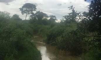 Imagem 6: Chácara em Avelinópolis