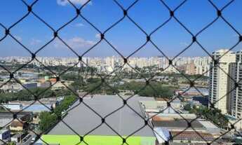 Imagem 3: Apartamento para Locação, Casa Verde,3 dormitórios , sala, cozinha, area de serviço , 2 va