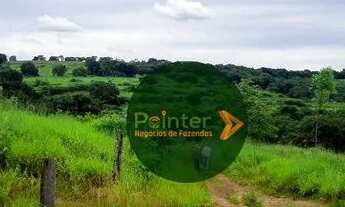 Imagem 4: Fazenda à venda, 9050800 m² por R$ 50.000.000 - Zona Rural - Doverlândia/GO
