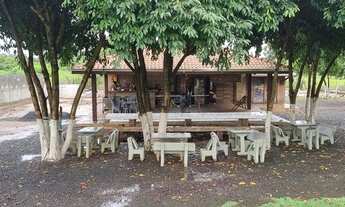 Imagem 2: Sitio a venda Chácara com venda por R$1