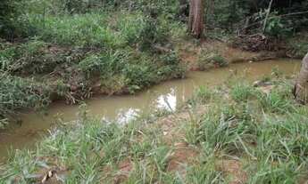 Imagem 5: Fazendinha de 5 ha, Jaboticatubas (Temos várias opções)