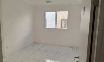 Imagem 3: Apartamento para alugar Tejipió