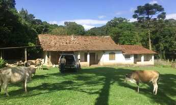 Imagem 5: Sítio em Tijucas do Sul