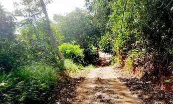 Imagem 3: Linda chácara à beira do rio 4 mil metros próxima a Baguari