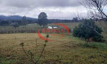 Imagem 5: Terreno à venda por R$ 1080000.00, 10000.00 m2 - CENTRO - QUATRO BARRAS/PR