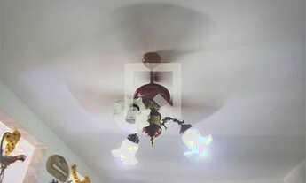 Imagem 5: Apartamento para Aluguel - Cidade Ocian, 1 Quarto, 36 m2