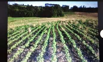 Imagem: Terreno 48.400 m²