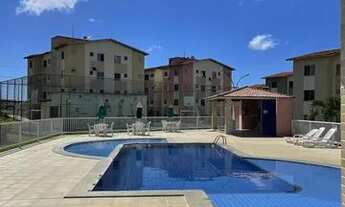 Imagem 7: DOCE VIDA FLORA / BAIRRO ROSA ELZE