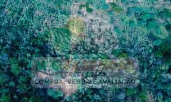 Imagem: Fazenda à Venda em Jeremoabo - BA 33