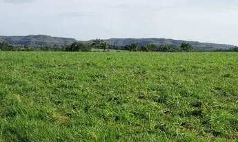 Imagem: Fazenda em Campos Lindos. 66 mil por alqueire