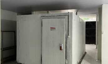 Imagem 4: Galpão/aluguel Câmara frigorífica/distribuidora 295 m²