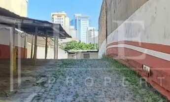 Imagem 2: Rua Dr Luís Barroso - Bela Vista