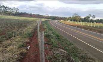 Imagem 4: Vende chácara de 15 alqueires dupla aptidão, a 1 km de Silvania