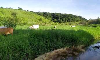 Imagem 4: Sítio para Venda em Messias, Zona Rural